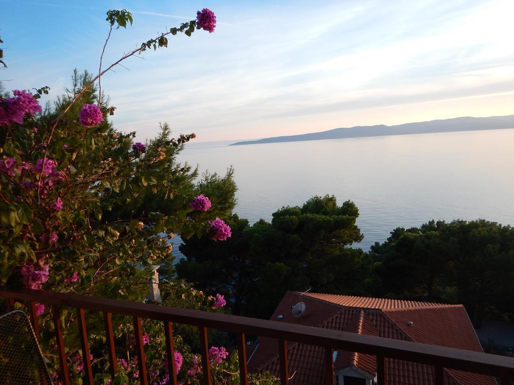 Apartment Danica Brela Εξωτερικό φωτογραφία
